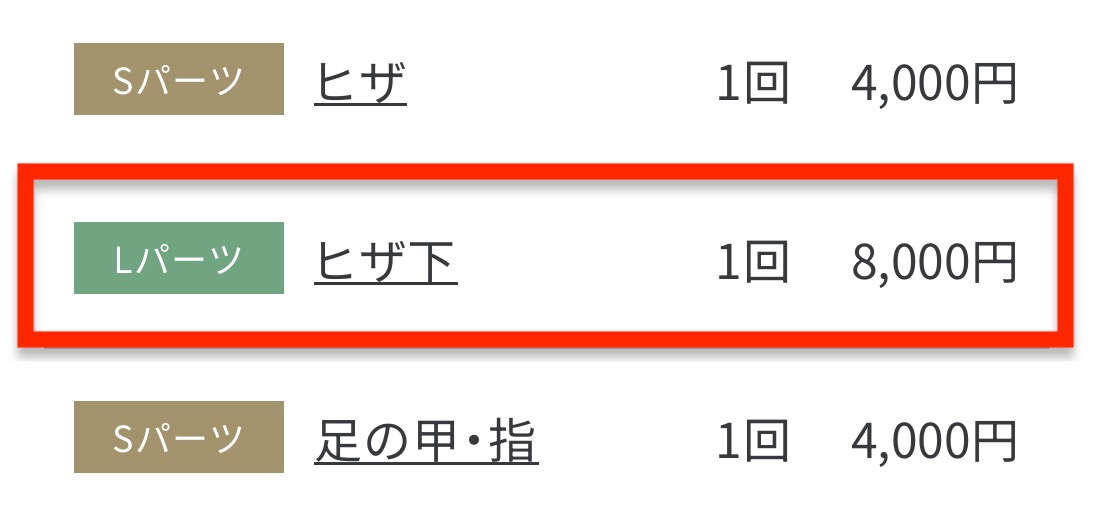 メンズ脱毛サロン レイロール の脱毛料金