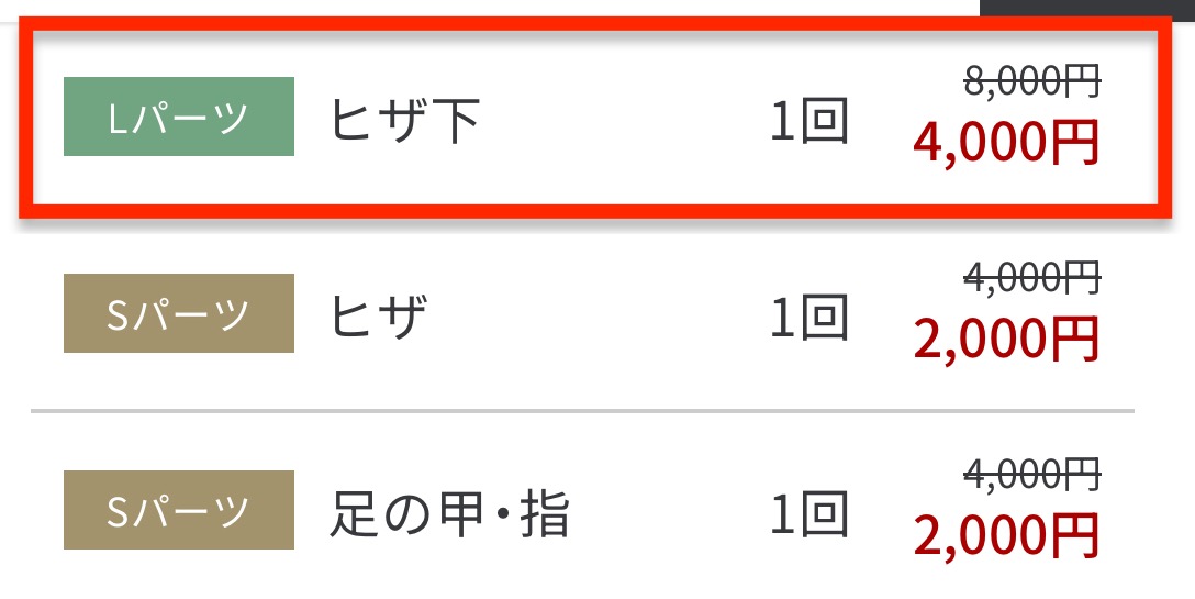 メンズ脱毛サロン レイロールの初回体験プラン