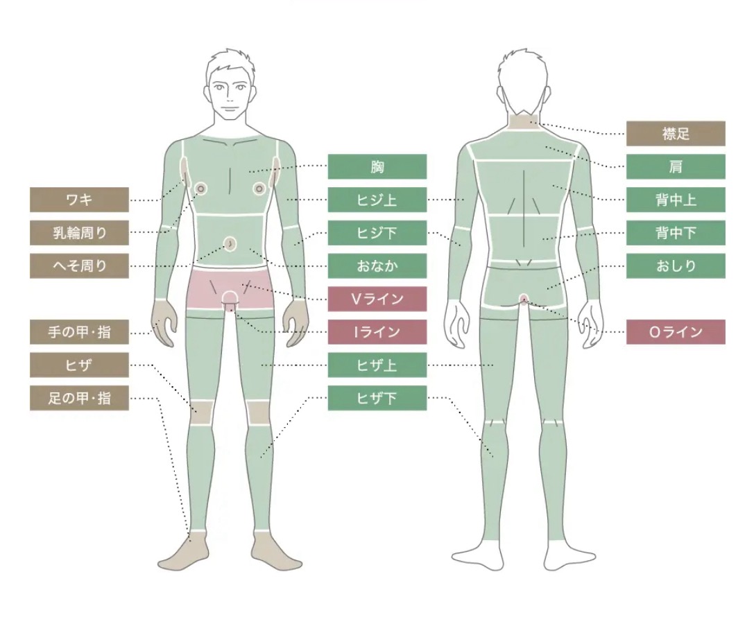 脱毛部位の名称