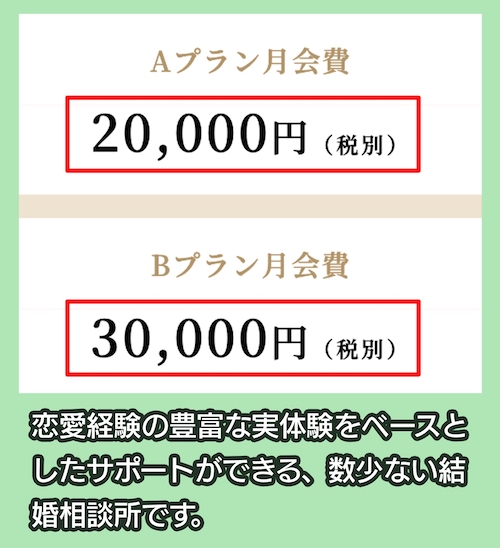 アムールマリアージュの料金