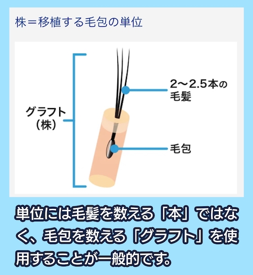 親和クリニック グラフト（株）とは