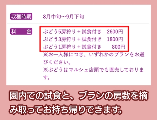 いわふねフルーツパークの料金相場