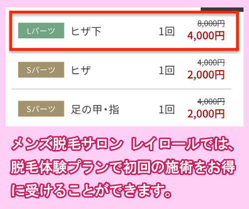 メンズ脱毛サロン レイロールの初回体験プラン