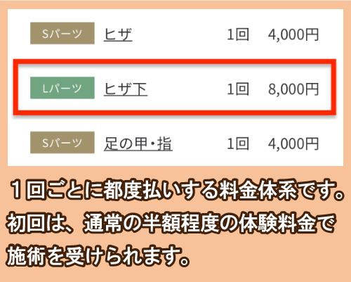 メンズ脱毛サロン レイロールのすね毛脱毛の料金