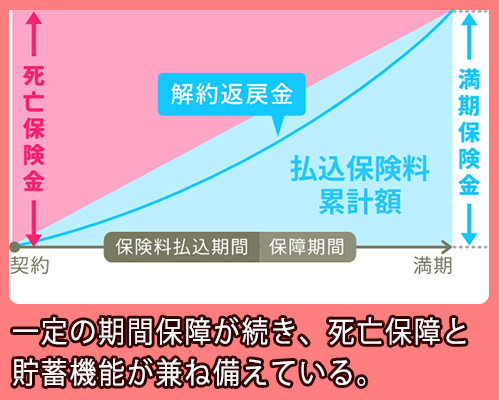 ライフネット生命 養老保険