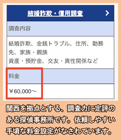 アーチネクスト総合探偵事務所の詐欺調査の費用