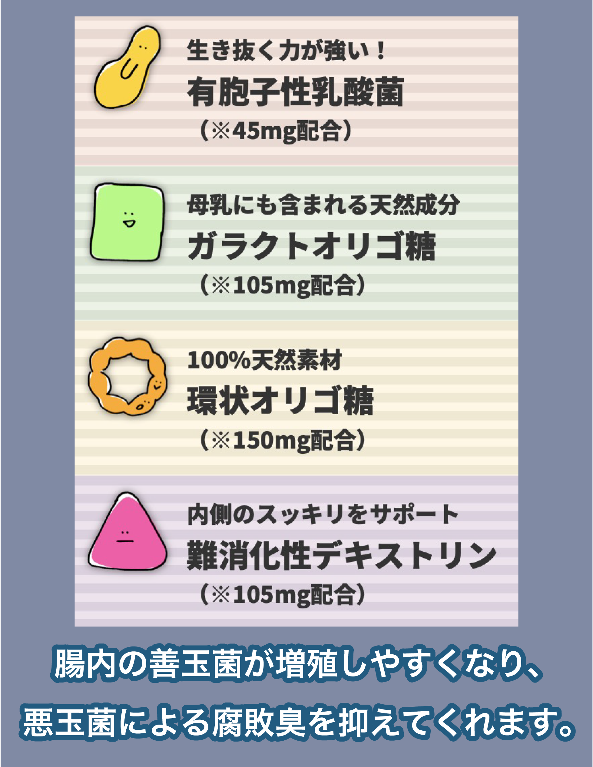 乳酸菌の効果