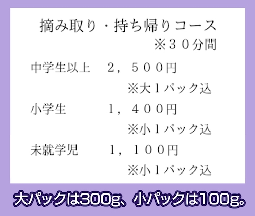 ブルーベリーガーデン伊吹の掴み取りコース