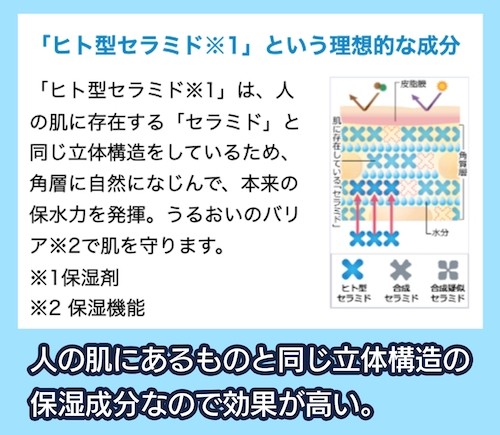 小林製薬 ヒト型セラミド