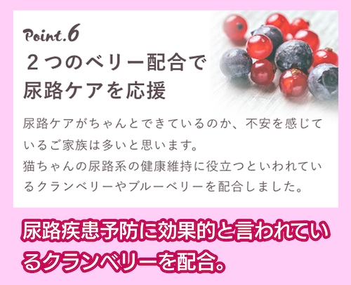 グランツ「チキン＆サーモン 全年齢」