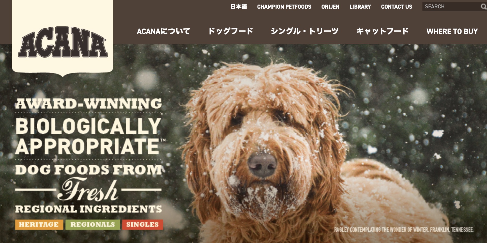 ドッグフード