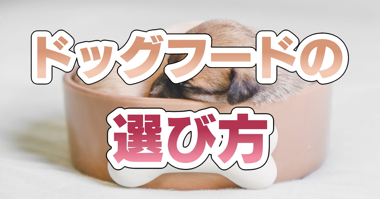 ドッグフードの選び方