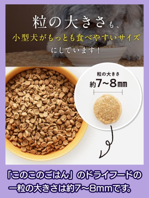 コノコトトモニ「このこのごはん」