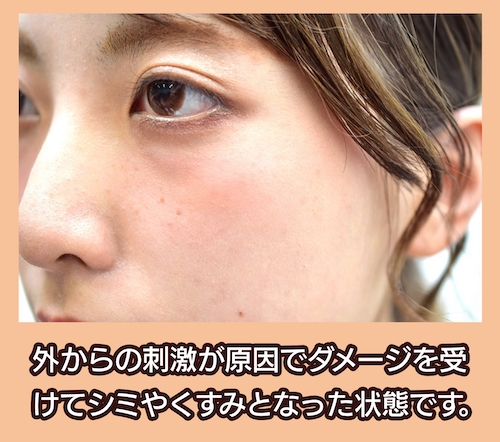 茶クマ