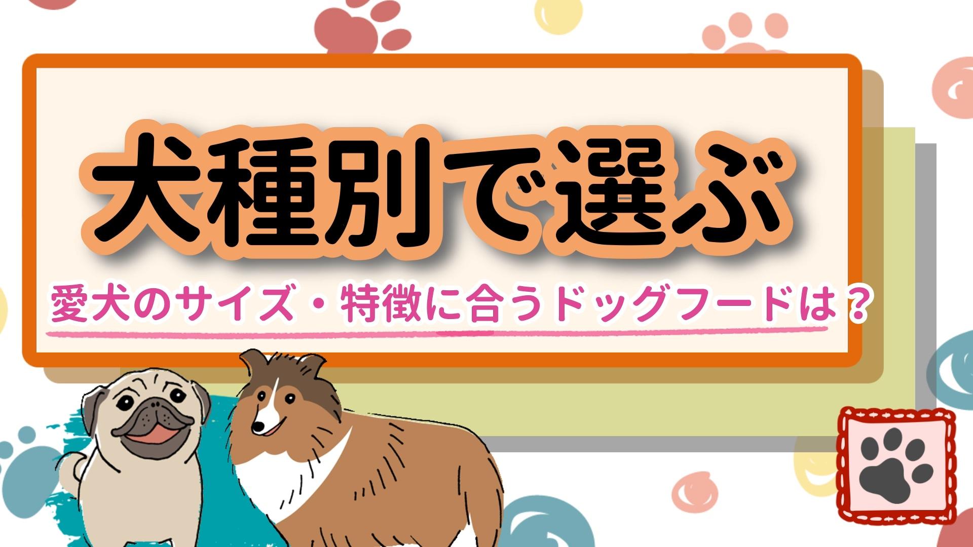 犬種別でドッグフードを選ぶ