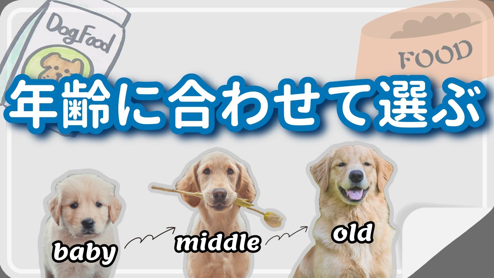 年齢に合わせてドッグフードを選ぶ