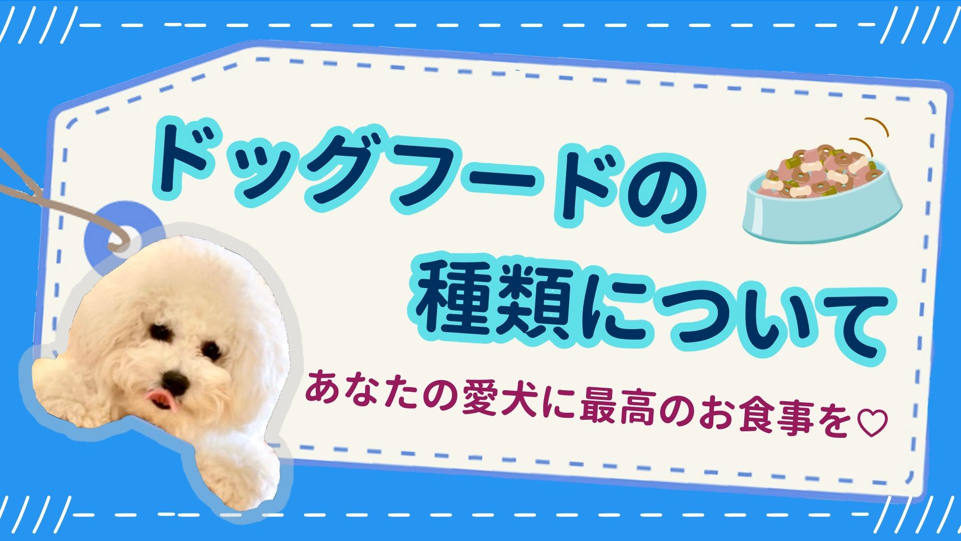 ドッグフードの種類について