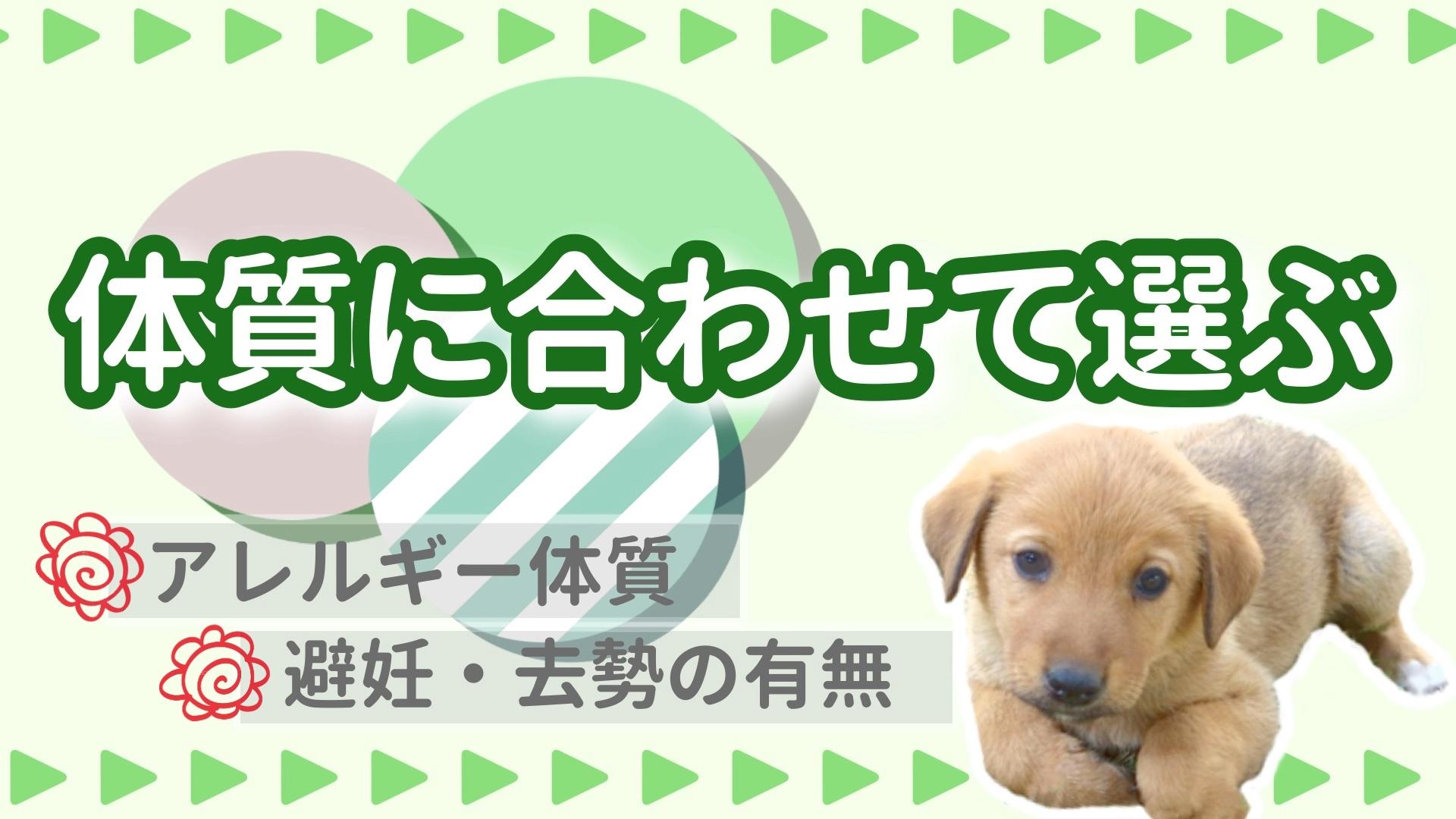 体質に合わせて選ぶ