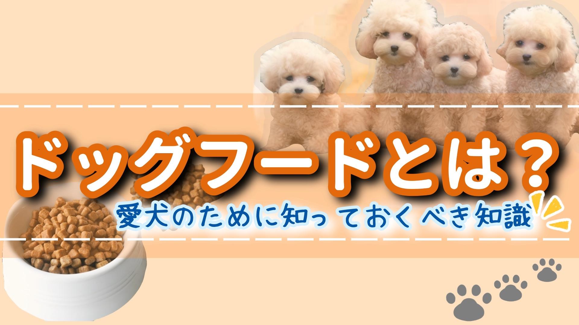 ドッグフードとは？